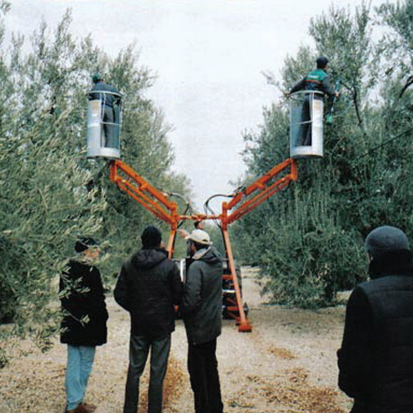Harvester for fruits double